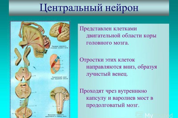 Где найти рабочую ссылку кракен